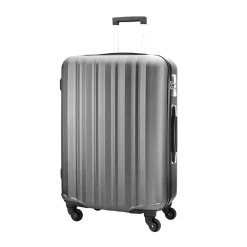 Valise Cabine Aspect Métallisé P 20